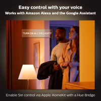 Philips Hue Iris gen4 EU/UK SE silver