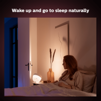 Philips Hue Iris gen4 EU/UK SE silver