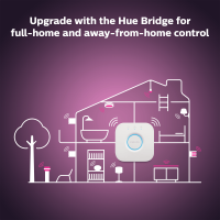 Philips Hue Iris gen4 EU/UK SE silver