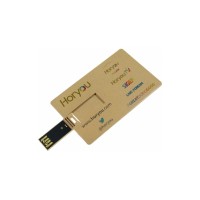 Çevre Dostu Kart USB Bellek