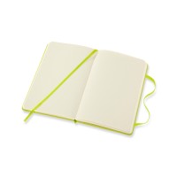 Moleskine Green Notebook