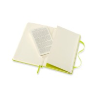 Moleskine Green Notebook