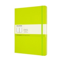 Moleskine Green Notebook