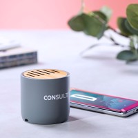 Eco-Friendly Bamboo Bluetooth Speaker