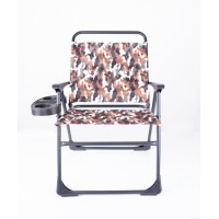 Design Folding Chair